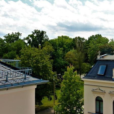 Zentral Gelegene Wohnung Nahe Schwanenteich Цвикау Екстериор снимка