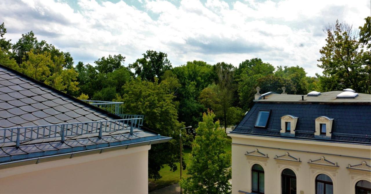 Zentral Gelegene Wohnung Nahe Schwanenteich Цвикау Екстериор снимка