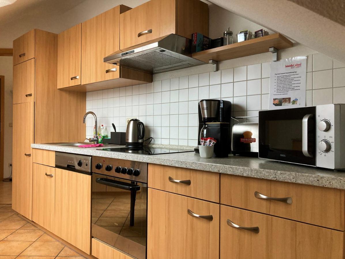 Zentral Gelegene Wohnung Nahe Schwanenteich Цвикау Екстериор снимка