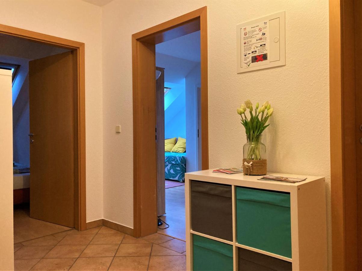 Zentral Gelegene Wohnung Nahe Schwanenteich Цвикау Екстериор снимка
