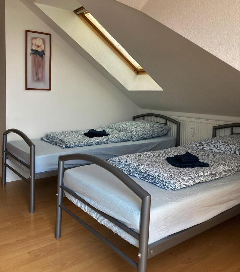Zentral Gelegene Wohnung Nahe Schwanenteich Цвикау Екстериор снимка