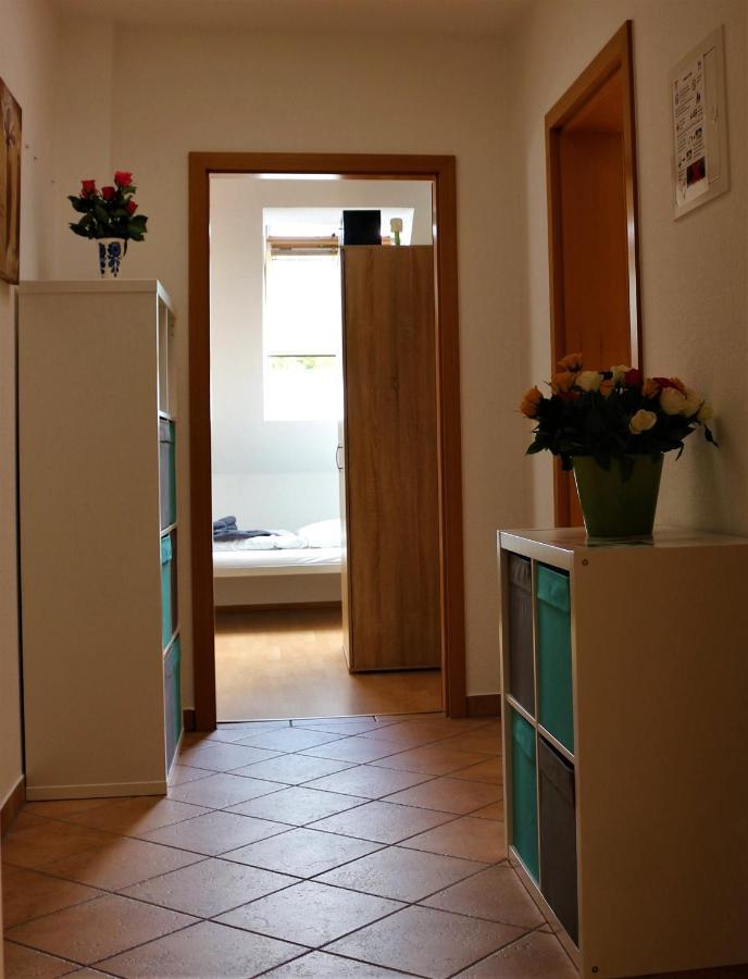 Zentral Gelegene Wohnung Nahe Schwanenteich Цвикау Екстериор снимка