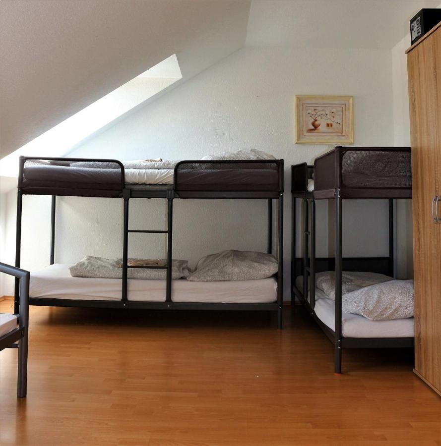Zentral Gelegene Wohnung Nahe Schwanenteich Цвикау Екстериор снимка